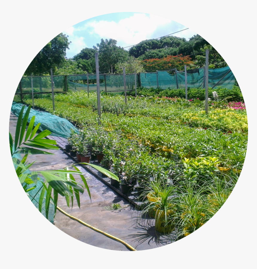 7 - Yard, HD Png Download