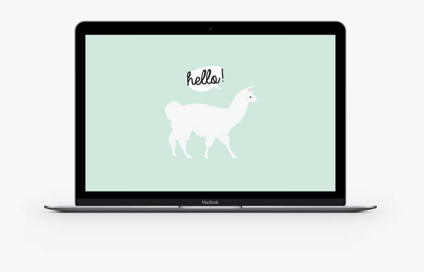 Alpaca Laptop - Llama, HD Png Download