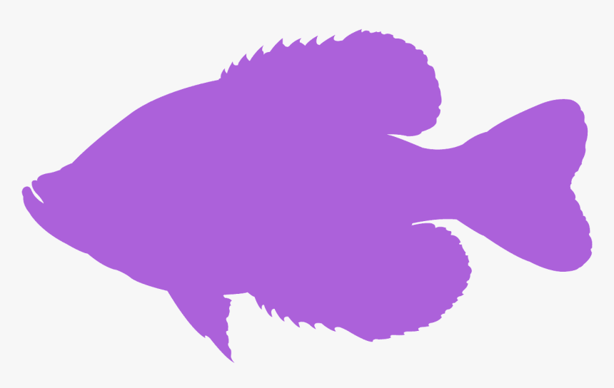 Sole, HD Png Download