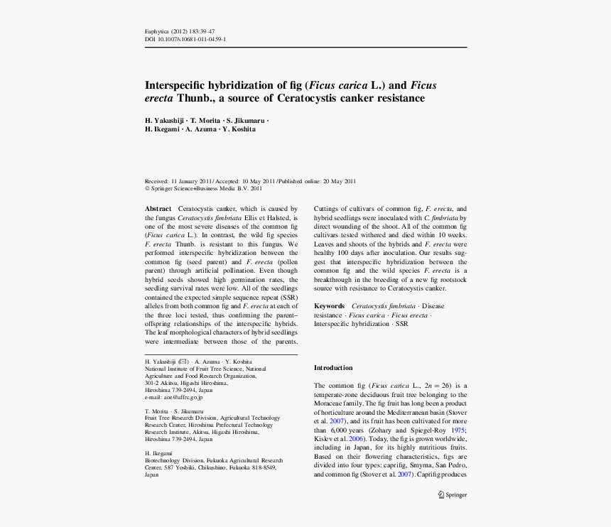 Document, HD Png Download