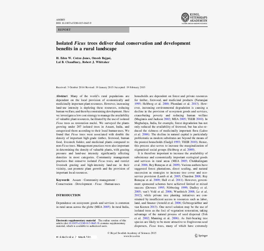 Energy Flow In Ecosystem Article Paper, HD Png Download
