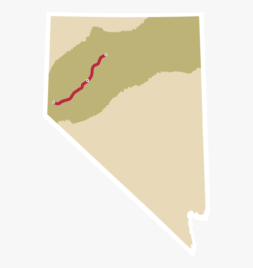 Cowboy Corridor - Leg - Illustration, HD Png Download