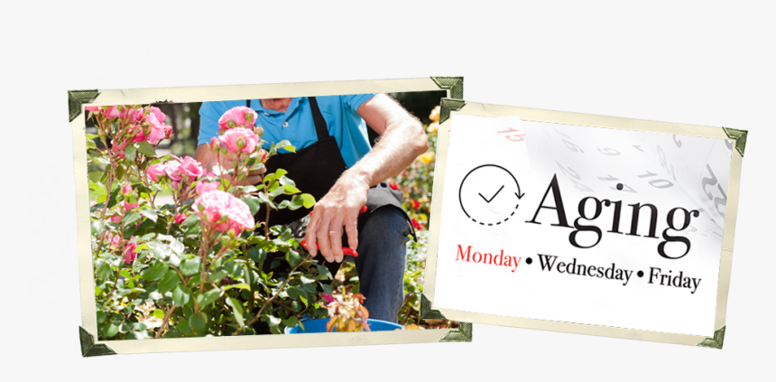 Dree Hemingway Style, HD Png Download