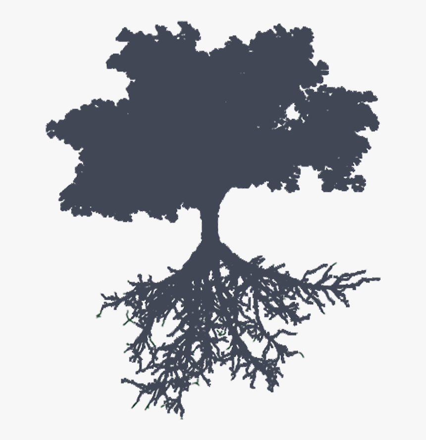 Oak, HD Png Download