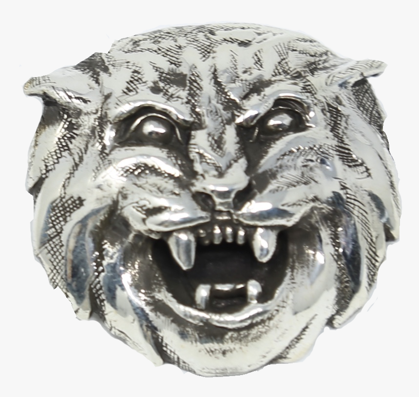 Champtiger - Reagan Charleston Championship Tiger, HD Png Download