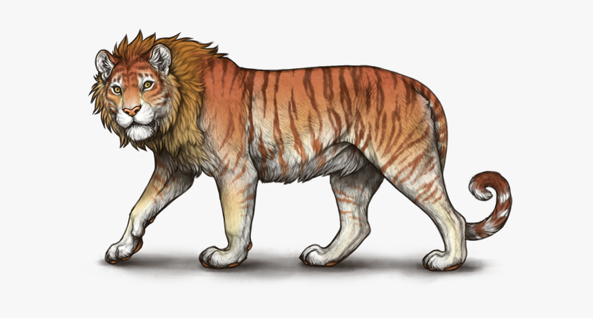 Ehbmokb - Siberian Tiger, HD Png Download