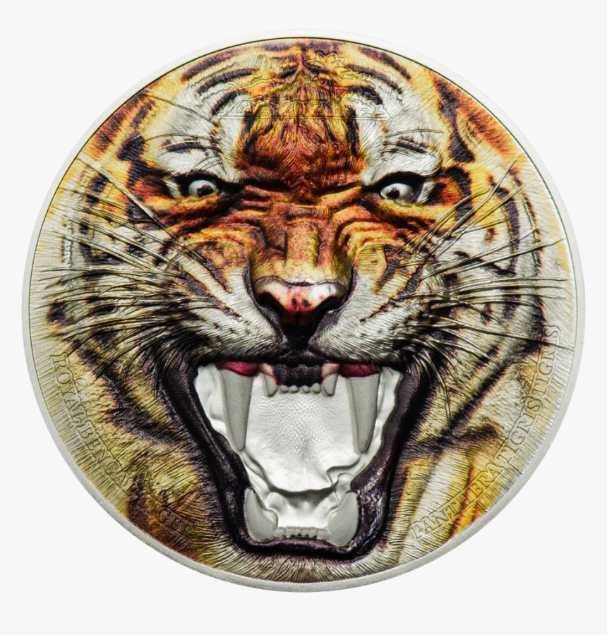 Siberian Tiger, HD Png Download