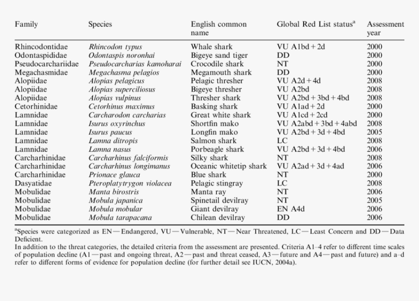 Screenshot, HD Png Download