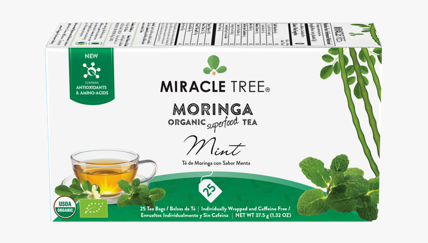 Miracle Tree Moringa Tea Ginger, HD Png Download