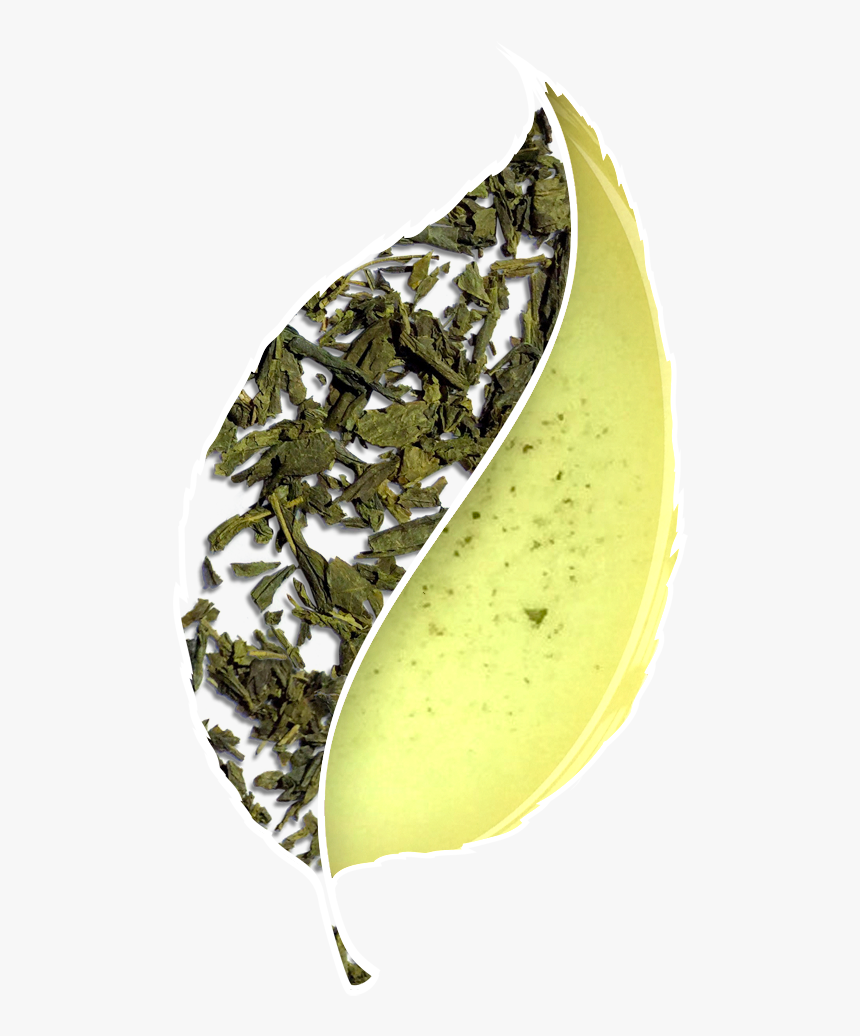 Green Tea Leaf Png - Banana, Transparent Png