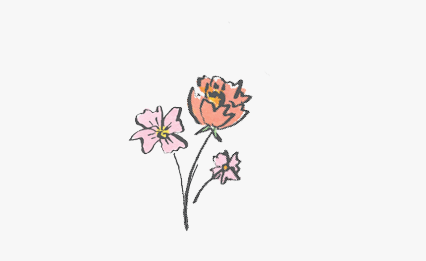 Flowerfinal - Zinnia, HD Png Download