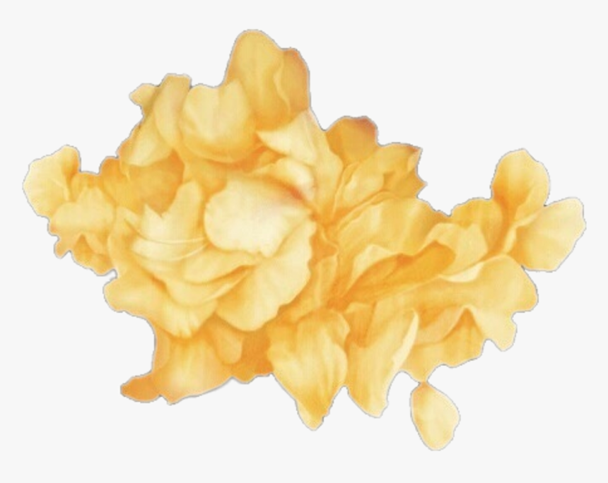 #rose #petals #yellow #aesthetic #localcupcakeaesthetics - Troye Sivan Wild Png, Transparent Png