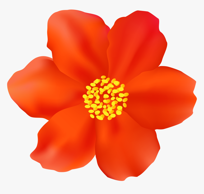 Aesthetic Flowers Png, Transparent Png
