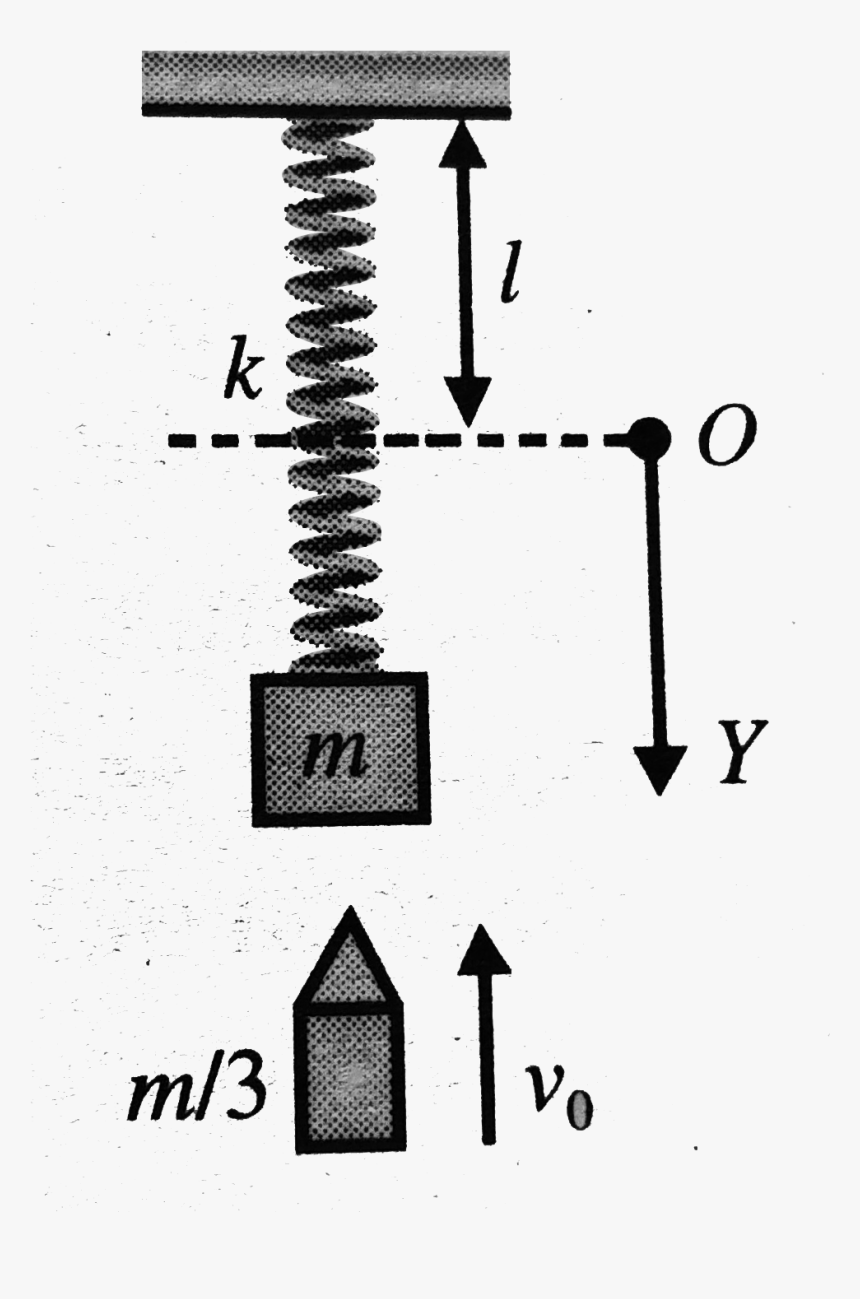 Prioridades De Ser Mama, HD Png Download