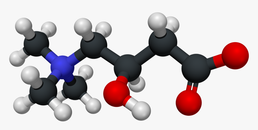 Carnitine 3d Structure - Carnitine Structure 3d, HD Png Download
