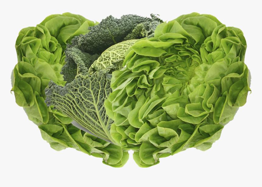 Green Vegetable, HD Png Download