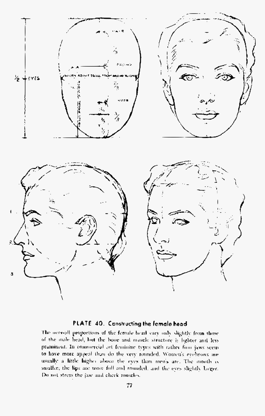 Transparent Lips Drawing Png - Andrew Loomis, Png Download