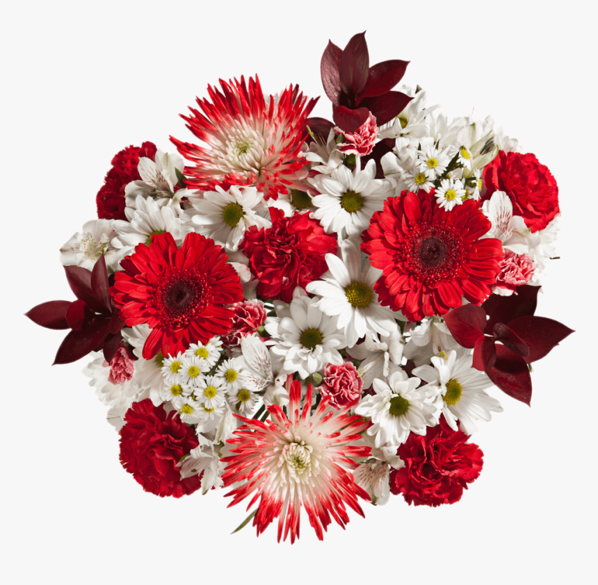 Valentines Flowers Red Carnations Spider Poms White - Bouquet, HD Png Download