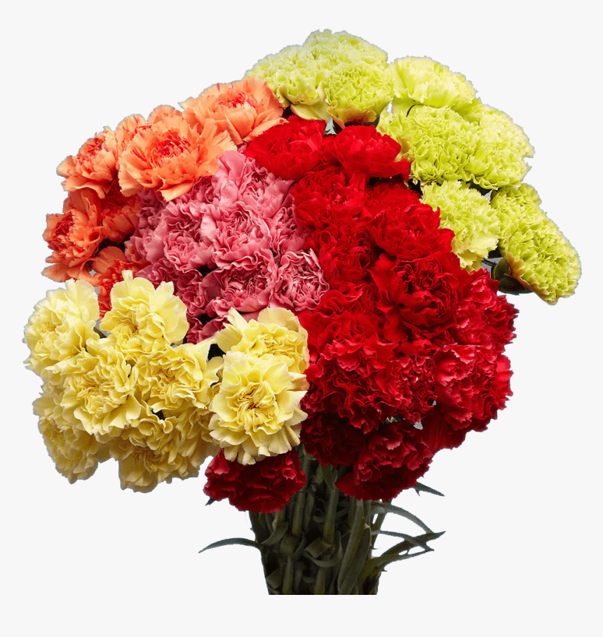 Flower, HD Png Download