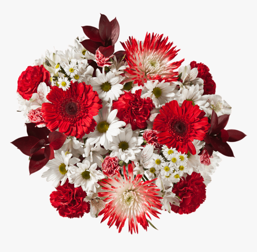 Valentines Day Flowers Red Carnations Gerberas White - Buchet Trandafiri Rosii Si Albi, HD Png Download