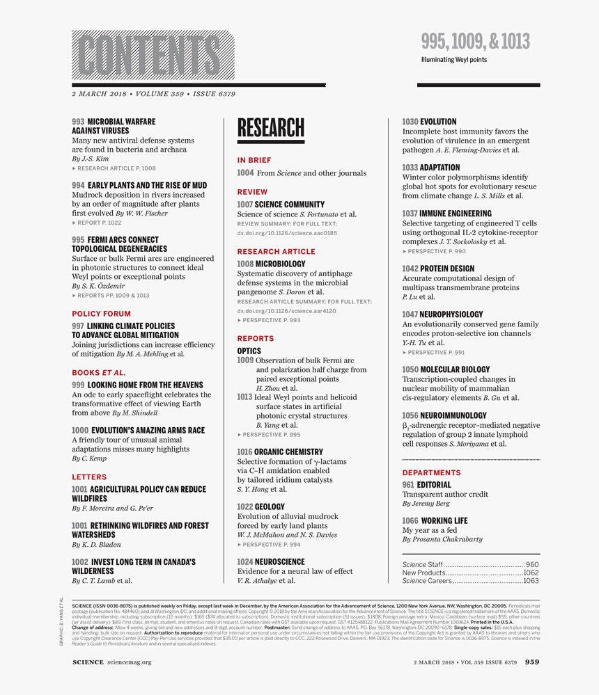 Document, HD Png Download