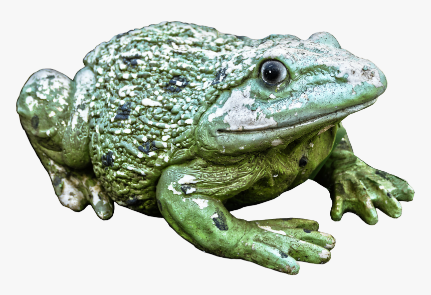 Frog, Green, Figure, Ceramic, Animal Figure, Decoration, - Eastern Spadefoot, HD Png Download