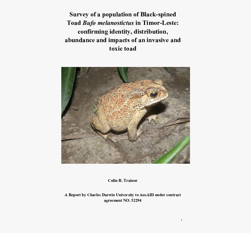 Eastern Spadefoot, HD Png Download