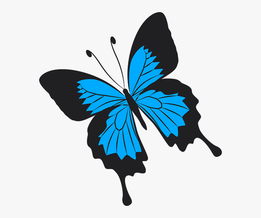 Sex And Tv Meme, HD Png Download