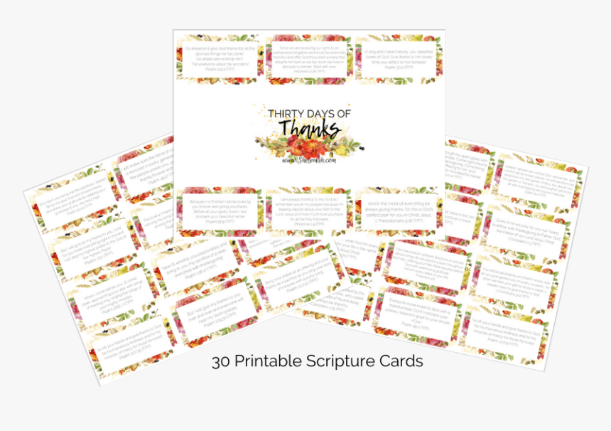 Ivory, HD Png Download