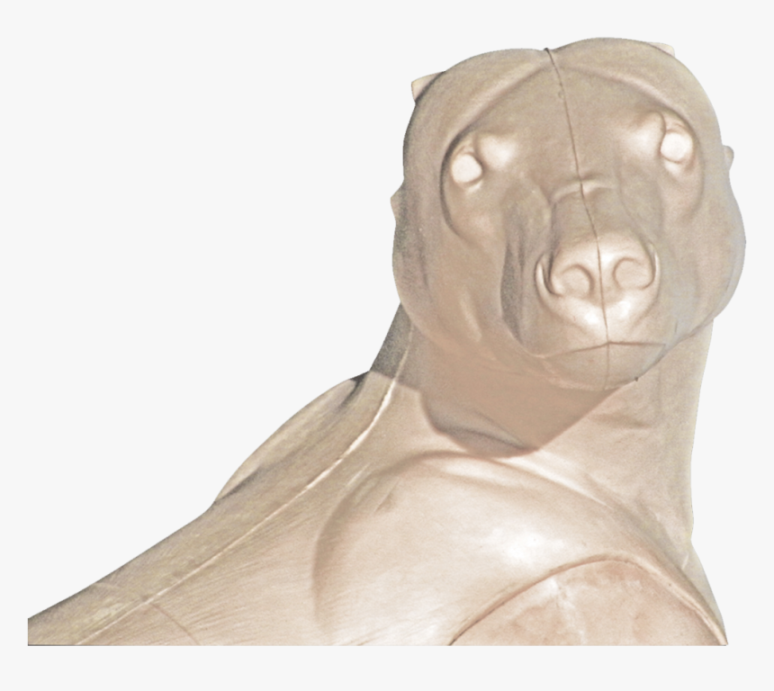 Companion Dog, HD Png Download