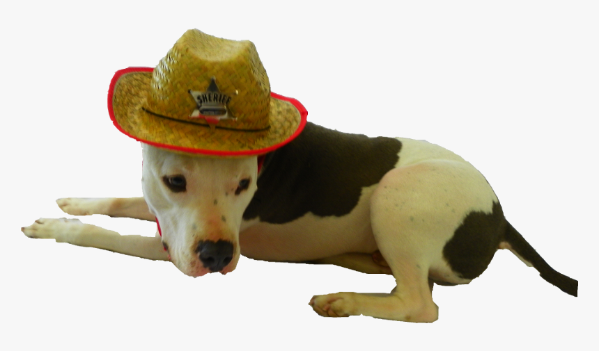 Longdog, HD Png Download