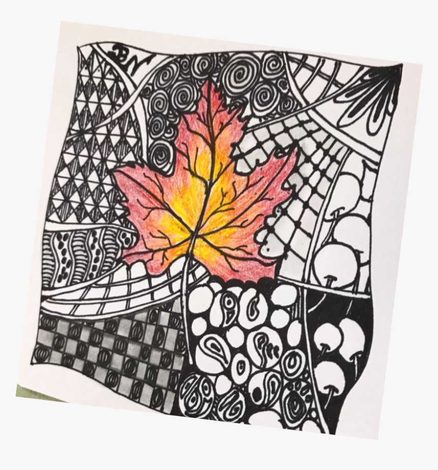 Leaf - Maple Leaf, HD Png Download