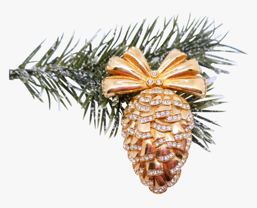 Mexican Pinyon, HD Png Download