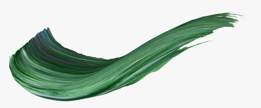 Hierochloe, HD Png Download