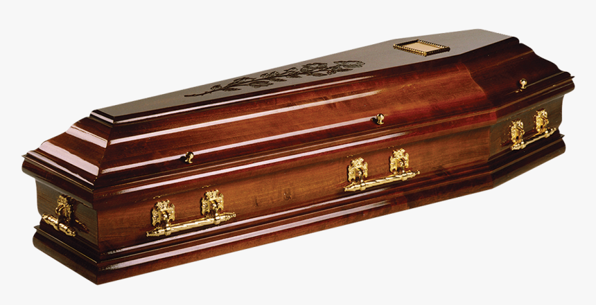 Trunk, HD Png Download