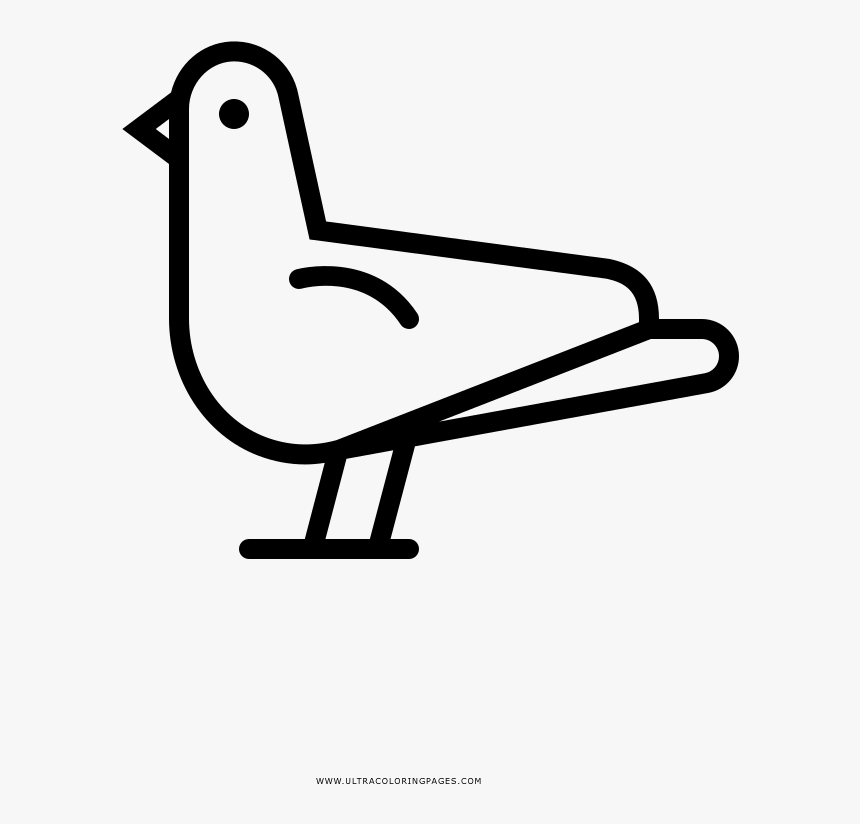 Paloma Página Para Colorear - Duck, HD Png Download