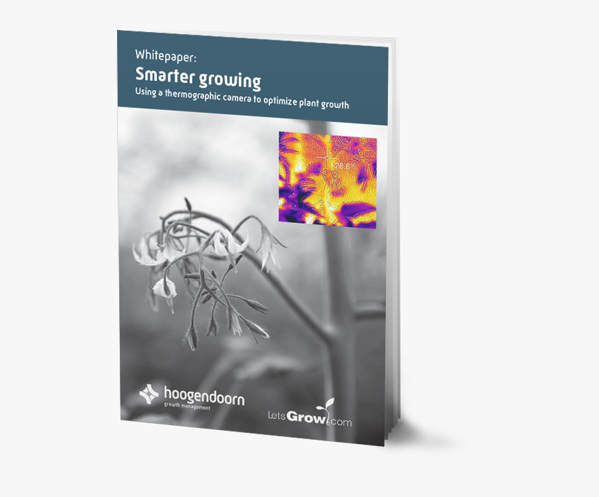 Flyer, HD Png Download