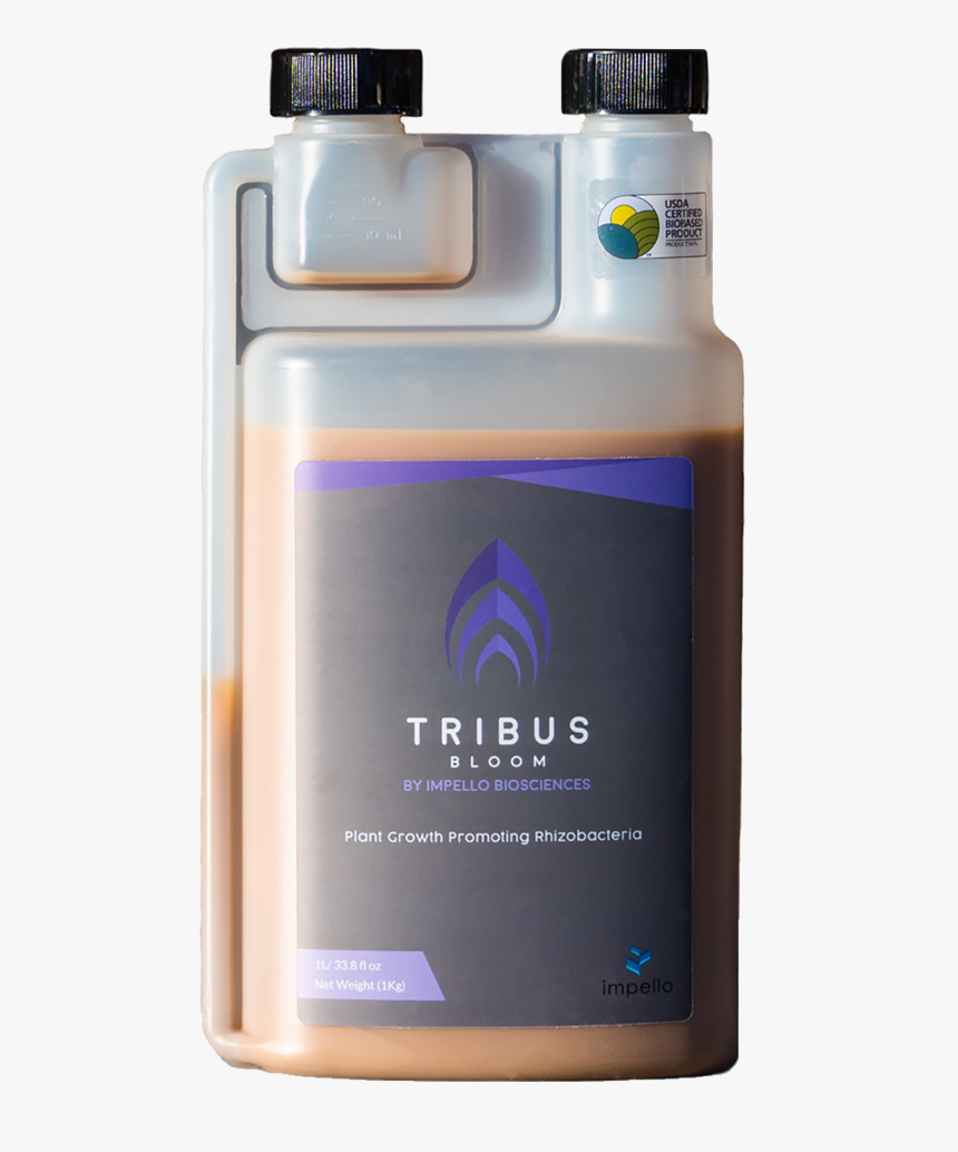 Tribus-bloom - Rhizobacteria, HD Png Download