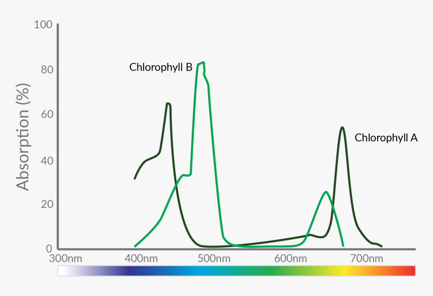 Diagram, HD Png Download