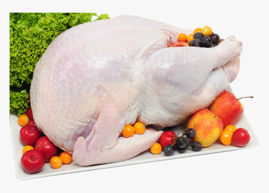 Chicken, HD Png Download