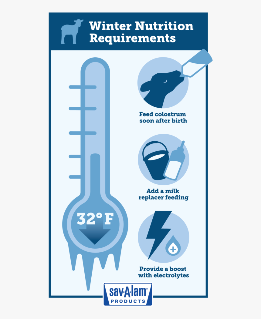 Dry Milk Infographic, HD Png Download