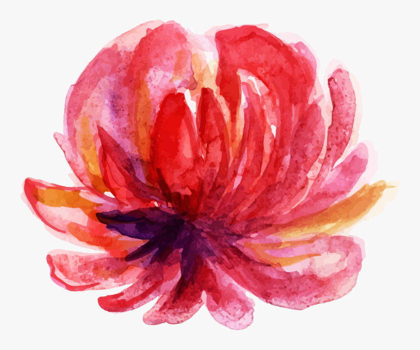 Chinese Peony, HD Png Download