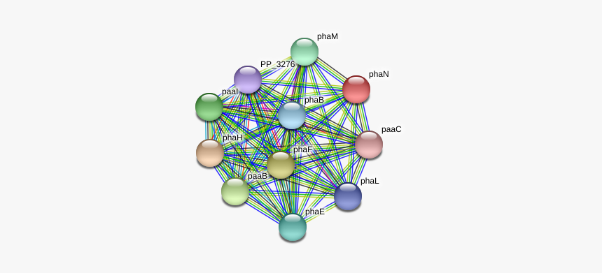 Phan Protein - Circle, HD Png Download