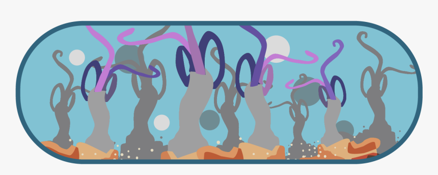 Visual Arts, HD Png Download