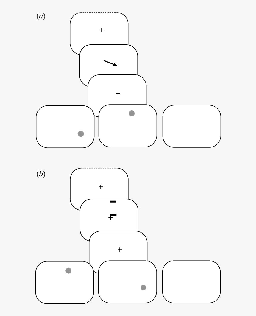 Indoor Games And Sports, HD Png Download