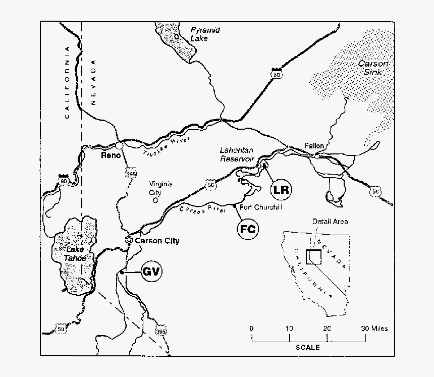 Map, HD Png Download