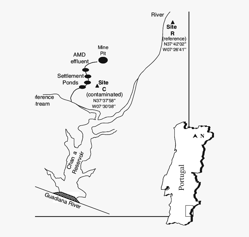 Map, HD Png Download