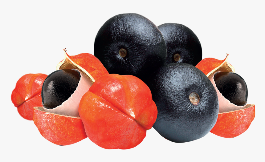 Bilberry, HD Png Download