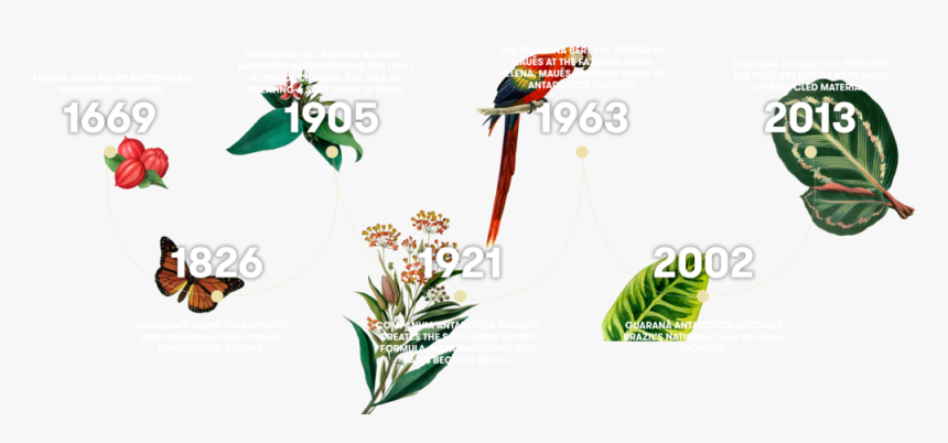 Timeline With Copy, HD Png Download