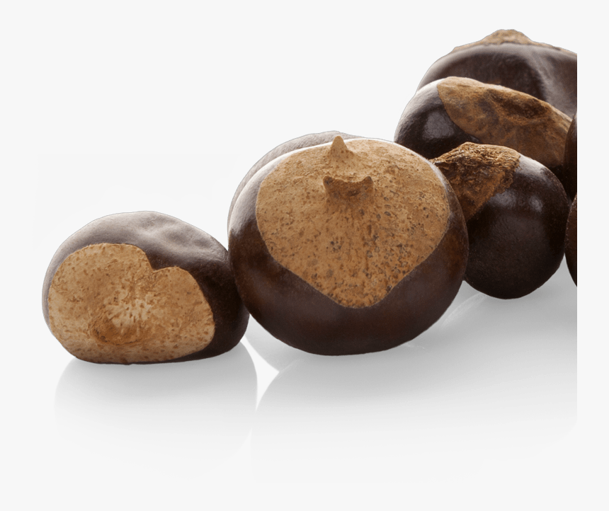 Fruit, HD Png Download